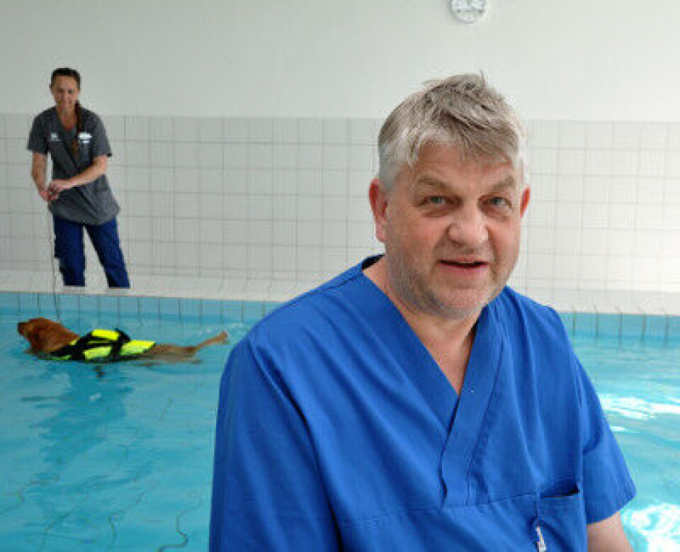 Halldor Skålnes er veterinær og daglig leder for AniCura Jeløy dyreklinikk. I bassenget i kjelleren på klinikken kan hunder under rehabilitering drive svømmetrening. Halldor Skålnes er veterinær og daglig leder for AniCura Jeløy dyreklinikk. I bassenget i kjelleren på klinikken kan hunder under rehabilitering drive svømmetrening.