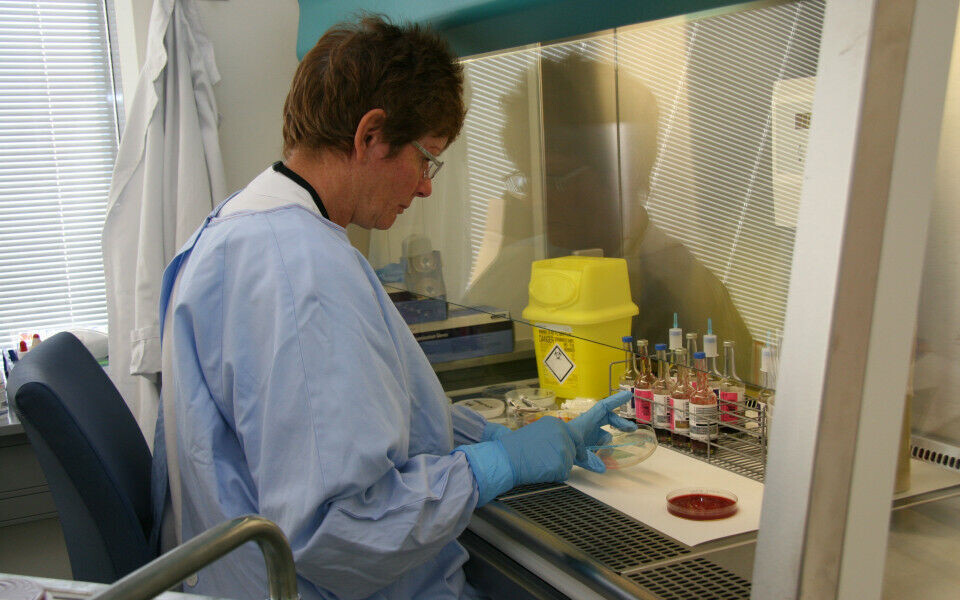 Bioingeniør May-Lilly Colban behandler positive blodkulturer i avtrekksskap. Foto: Avdelingen.