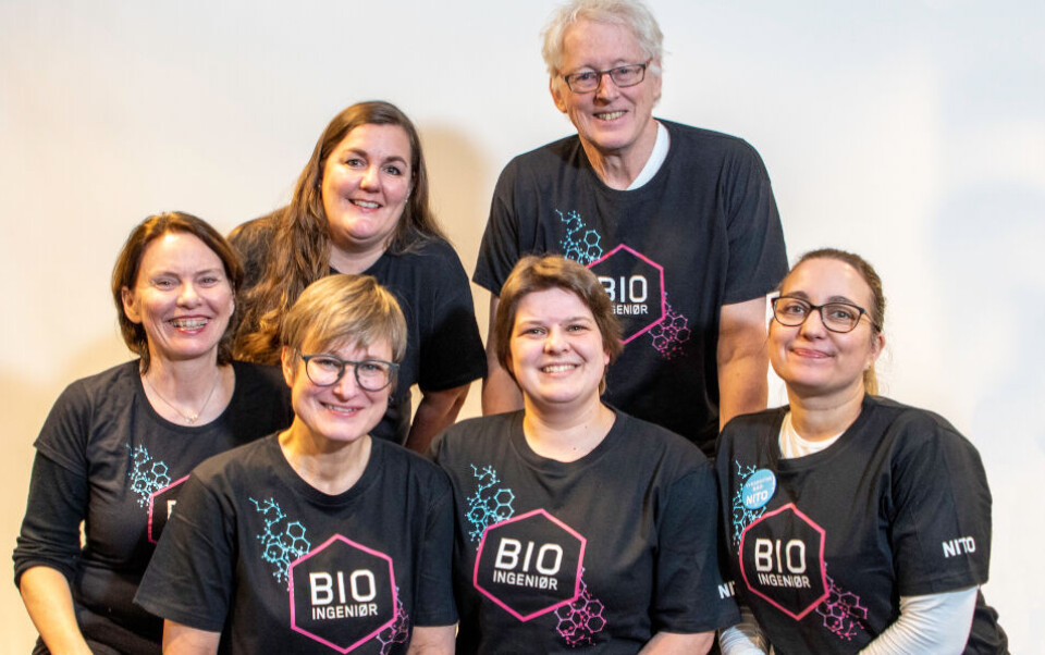 Yrkesetisk råd 2019-22: Fra venstre øverst; Mona Pedersen Unnerud (leder) og Bjarne Hjeltnes. Nederst fra venstre: Margrete Tennfjord (sekretær), Gry Andersen, Maren Øverseth og Christina Matheson Mæland. Foto: NITO