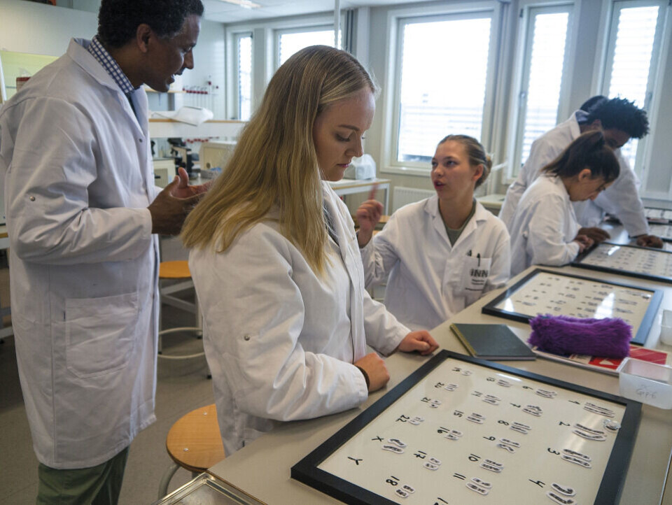 Teklu Zeremichael er bioteknolog ved Institutt for bioteknologi og en av de faste lærerkreftene ved bioingeniørutdanningen. Her underviser han førsteårsstudenter om kromosomer. Foto: Grete Hansen