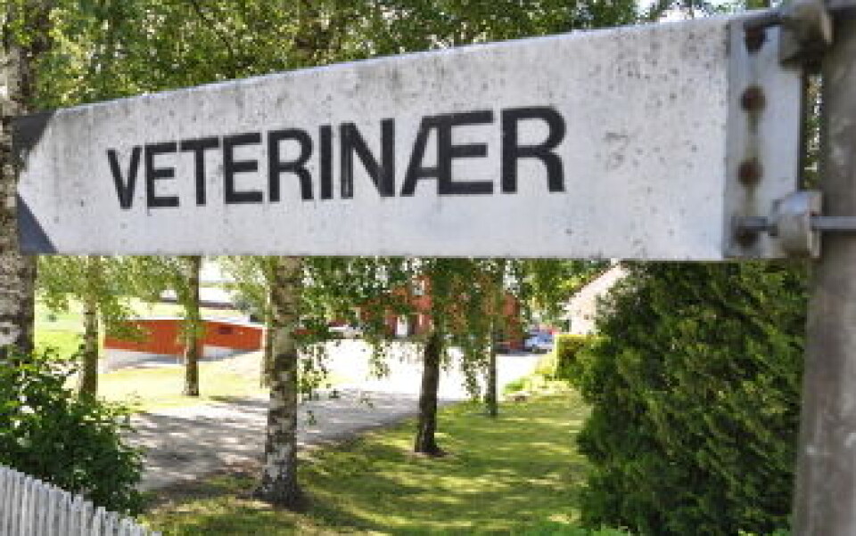 Et idyllisk gårdstun omgir Jeløy dyreklinikk. Det er lite ved omgivelsene som røper at dette er et høyteknologisk dyresykehus. Et idyllisk gårdstun omgir Jeløy dyreklinikk. Det er lite ved omgivelsene som røper at dette er et høyteknologisk dyresykehus.