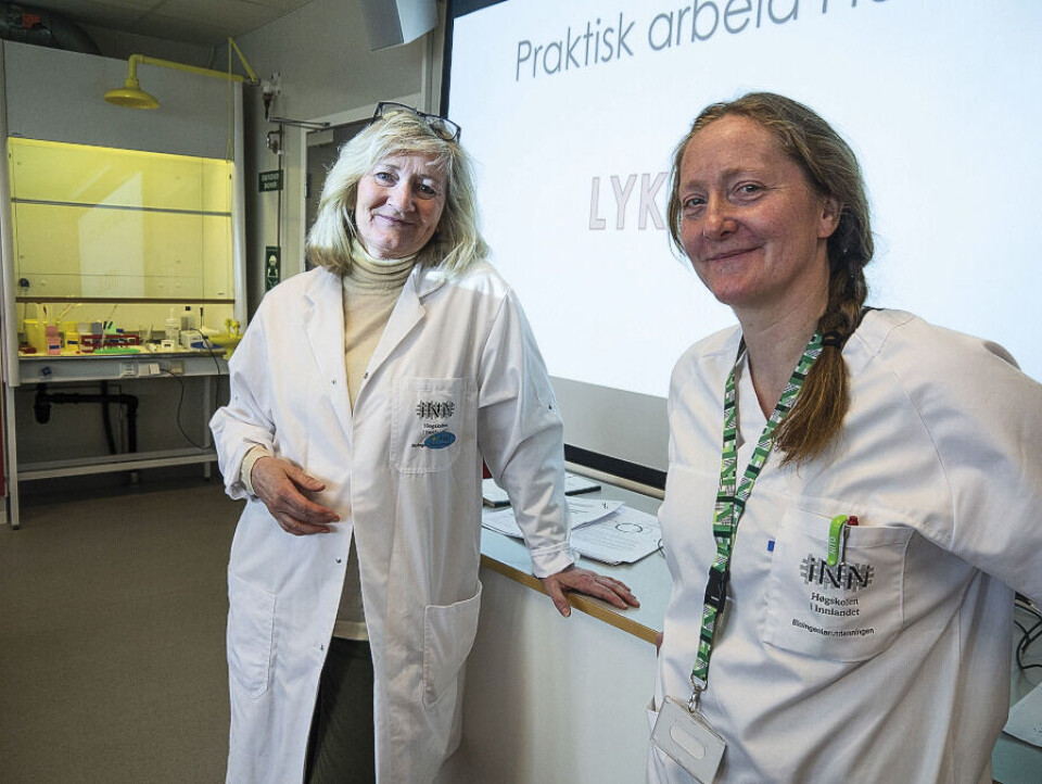 Aud Valle Hansen og Elisabeth Ersvær er gamle kollegaer fra bioingeniørutdanningen i Bergen. Hansen hjelper til med laboratorieundervisningen om kromosomer. Foto: Grete Hansen
