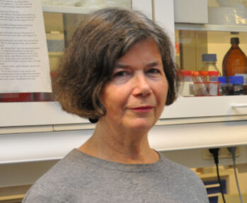 Professor Trine B. Haugen. Foto: Svein A. Liljebakk