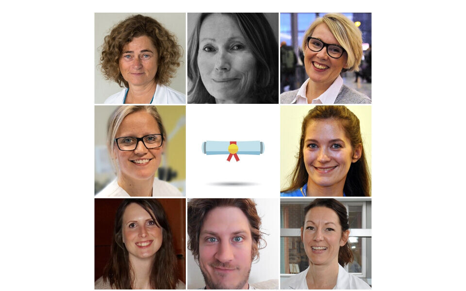 BFIs spesialistkomité har godkjent sju nye bioingeniører som spesialister, og fornyet én eksisterende godkjenning.