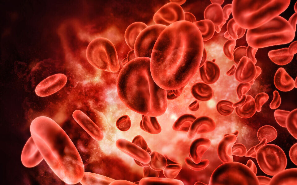 Foto: iStockphoto