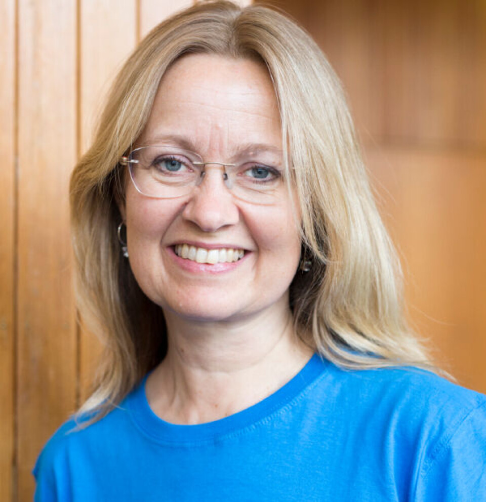 Lisa Husby, instituttleder BFI