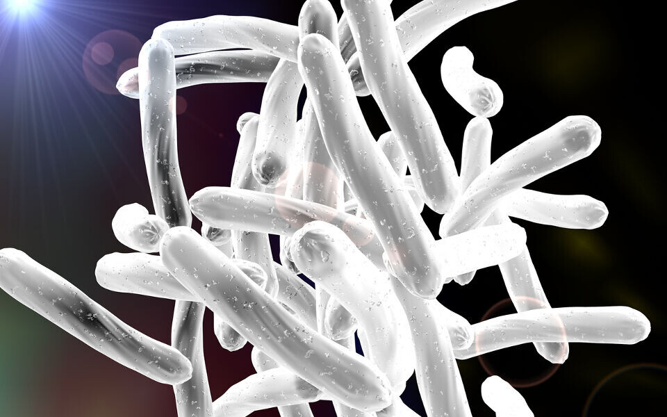 Multiresistent tuberkulose er på fremmarsj. Illustrasjonsfoto: iStock