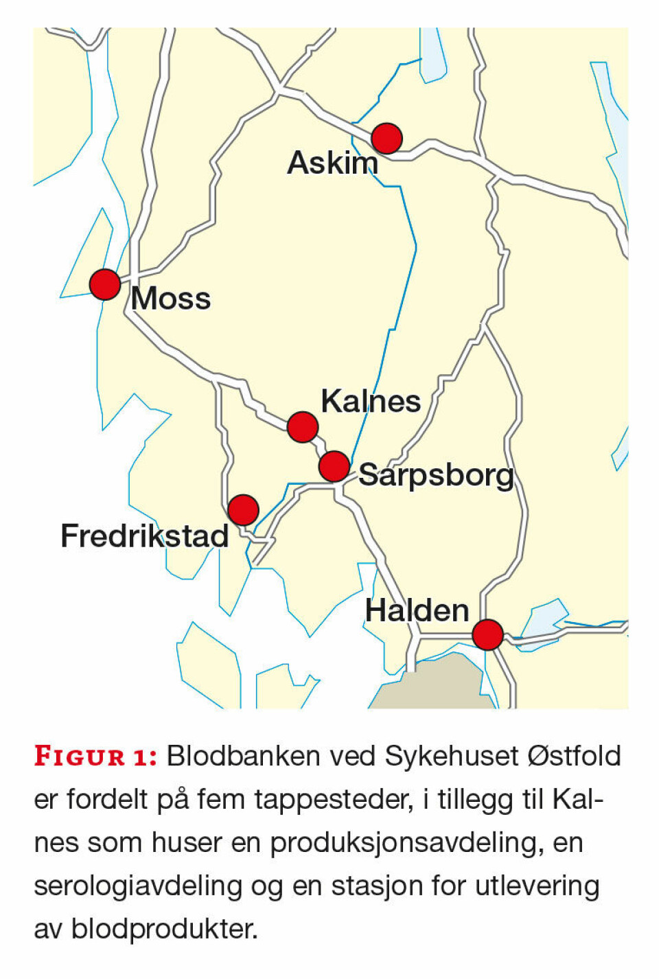 Kartlegging av fremmøteprosent blant blodgivere ved Sykehuset Østfold