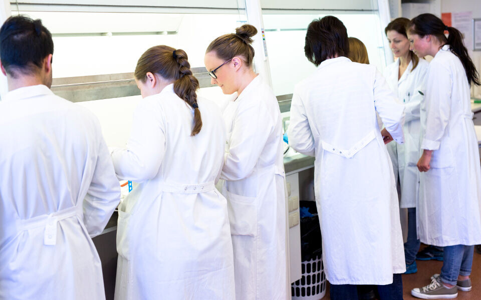 Nå er det mulig å påvirke hva bioingeniørstudentene skal lære under studiet. Foto: Annette Larsen