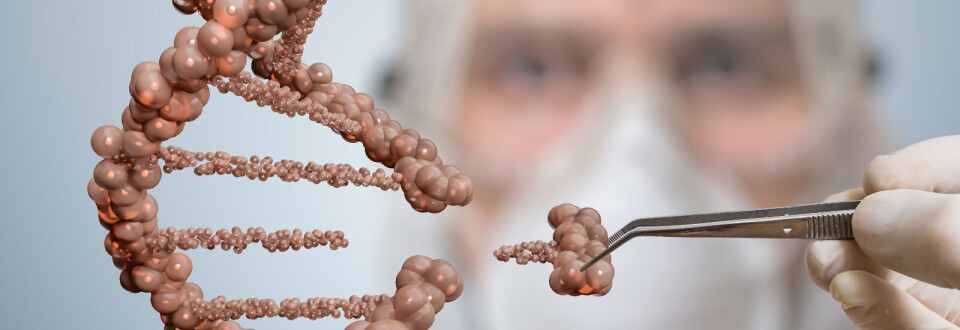 CRISPR-Cas9 gjør genredigering tilgjengelig for den gjengse forsker med litt kunnskap om molekylærbiologi. Illustrasjon: iStockphoto