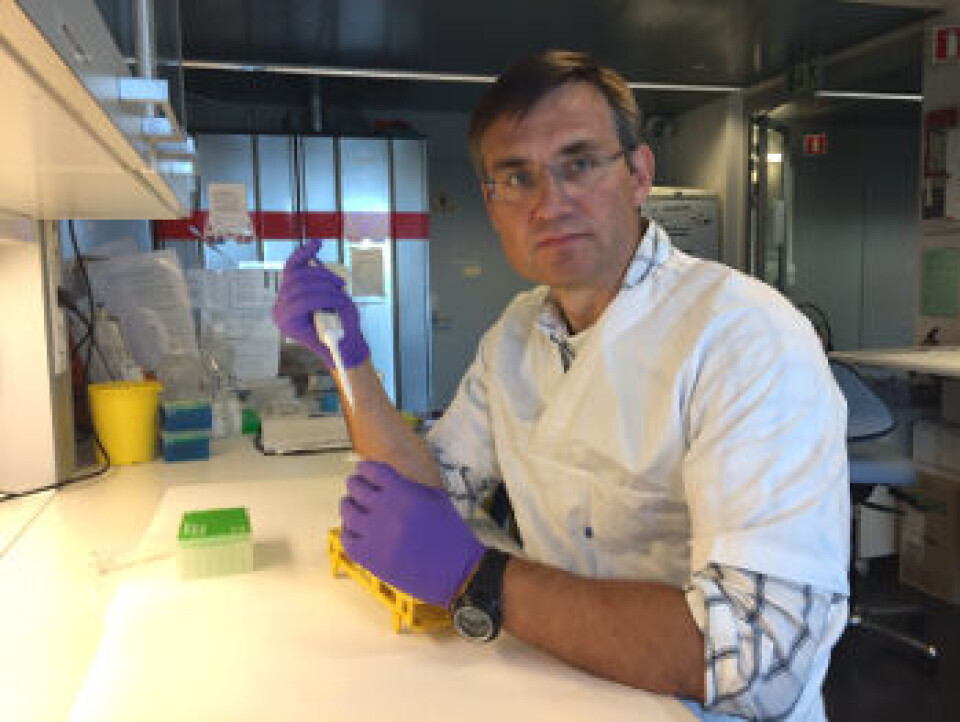 - Jeg tror de fleste kommer til å gå over til å bruke CRISPR-Cas9 til genredigering, sier senioringeniør Per Arne Aas ved NTNU. Per Arne Aas