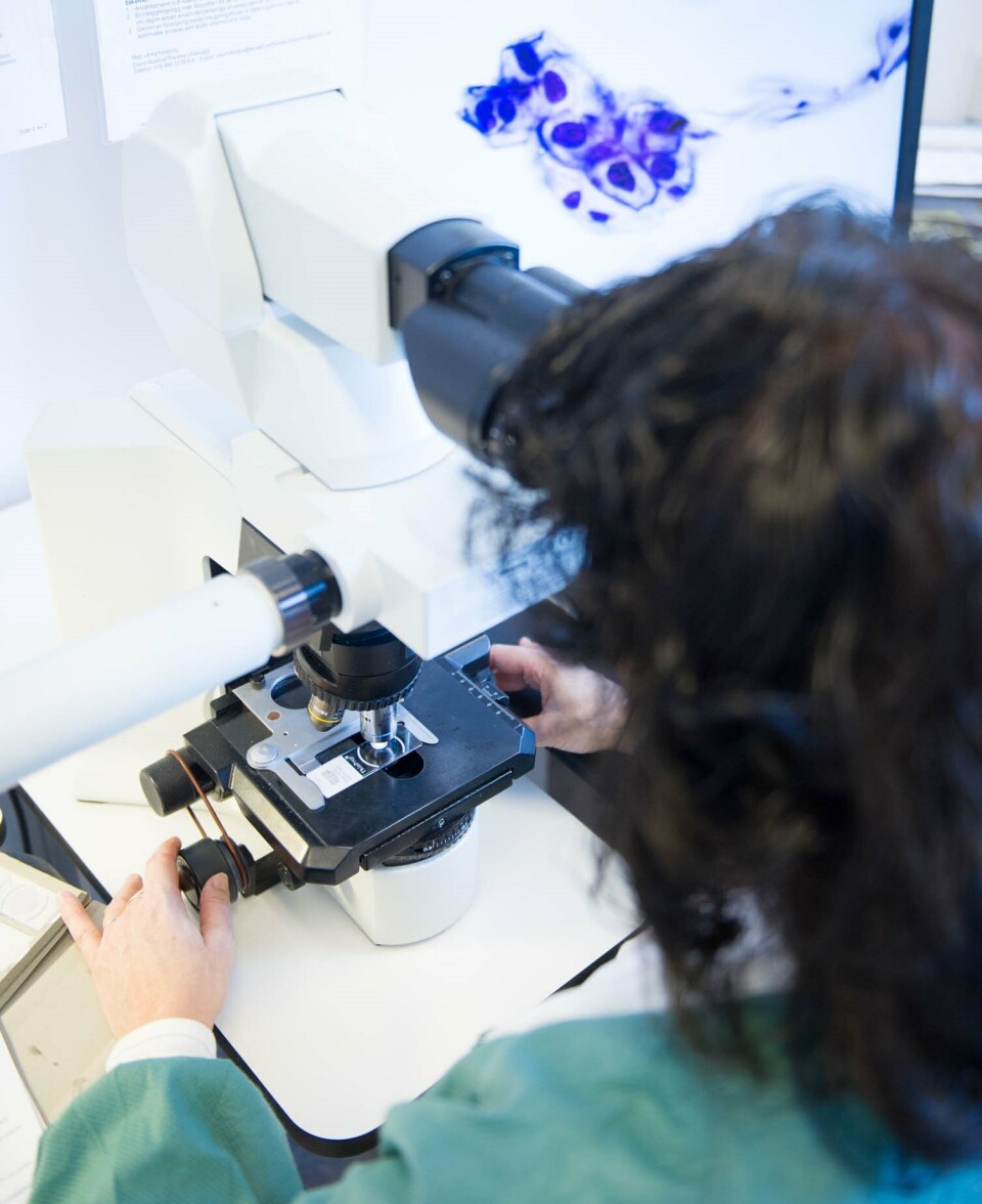 Tid for mikroskopisk analyse. Alle prøvene screenes individuelt. Dersom prøven er teknisk god – uten for mye blod, slim eller betennelsesceller – bruker en erfaren bioingeniør to-tre minutter på hver prøve. Mikroskopering av celleprøver