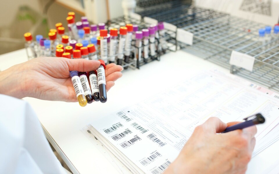 Foto: Annette Larsen.