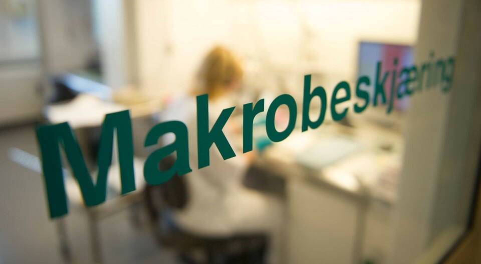 SiV utfører et forbedringsprosjekt hvor hele den histologiske prøveflyten kartlegges. Vurdering av oppgaveglidning er en del av prosjektet, blant annet om bioingeniør kan overta noe mer av makrobeskjæringen som i dag gjøres av leger. Foto: Tomas Moss.