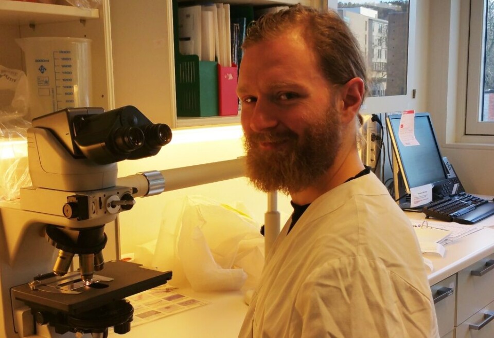 Bioingeniør Mikal Nygård fra St. Olavs Hospital drar snart til Kirkenes for å hjelpe til med prøvetakingen av asylsøkere. - Jeg har lyst til å bidra. Jeg regner med intensive dager, og det blir interessant med nye utfordringer, sier han til NITOs nettsider. Bioingeniør Mikal Nygård fra St. Olavs Hospital drar snart til Kirkenes for å hjelpe til med prøvetakingen av asylsøkere. - Jeg har lyst til å bidra. Jeg regner med intensive dager, og det blir interessant med nye utfordringer, sier han til NITOs nettsider.