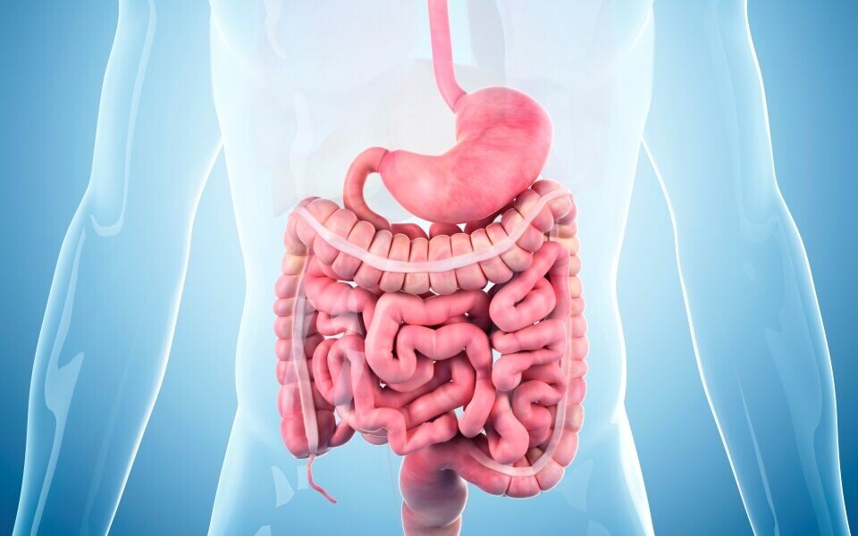 Foto: iStock photo.