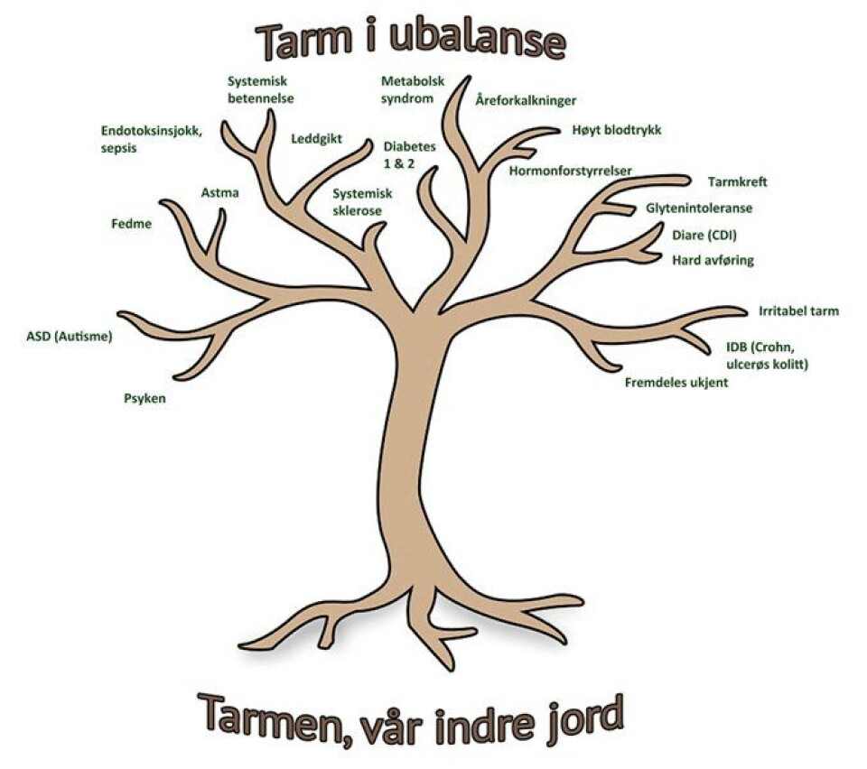 Illustrasjon: Tore Midtvedt.
