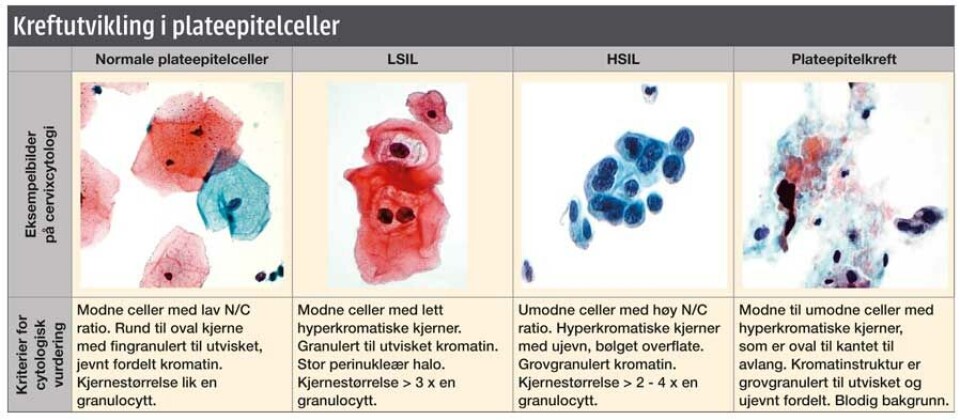 Cervixcytologi for 'dummies'