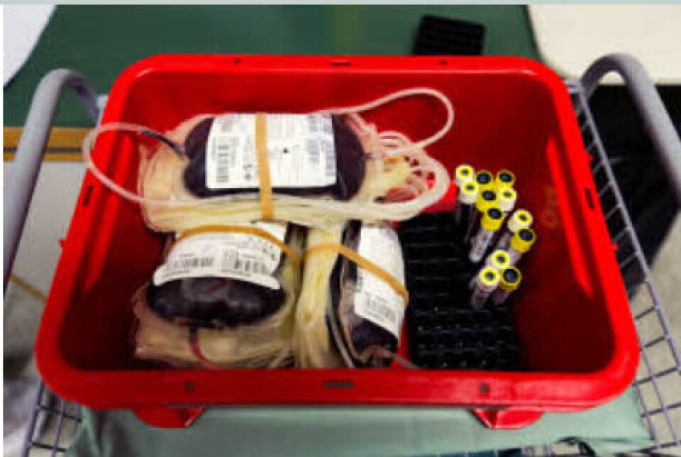 Illustrasjonsfoto: Tomas Moss