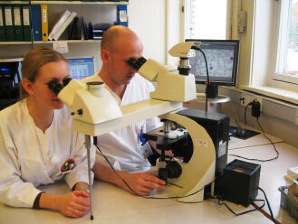 Det er bioingeniører med autorisasjon for visuell vurdering av blodutstryk som ser på alle utstryk ved Avdeling for medisinsk biokjemi på Diakonhjemmet Sykehus. Foto: Inger Berit Hersleth.