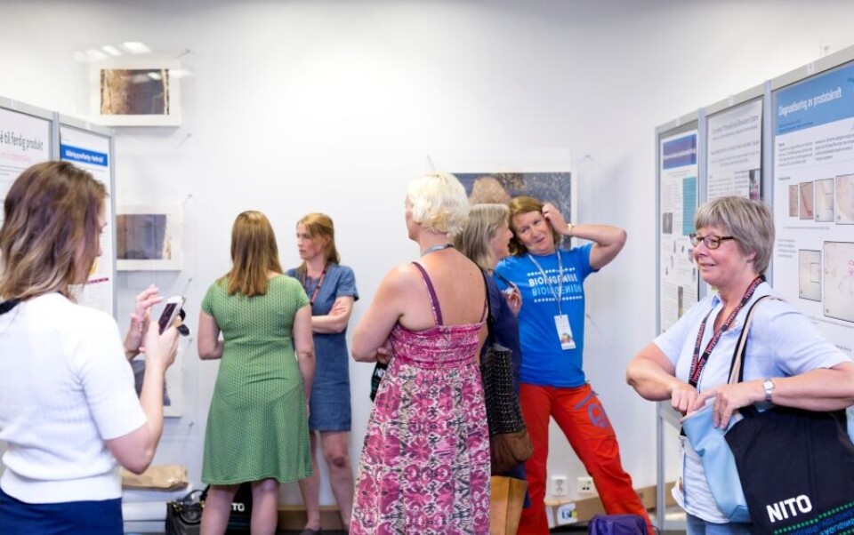 Et av høydepunktene for fagredaktøren var diskusjonene foran posterne. Foto Anette Larsen