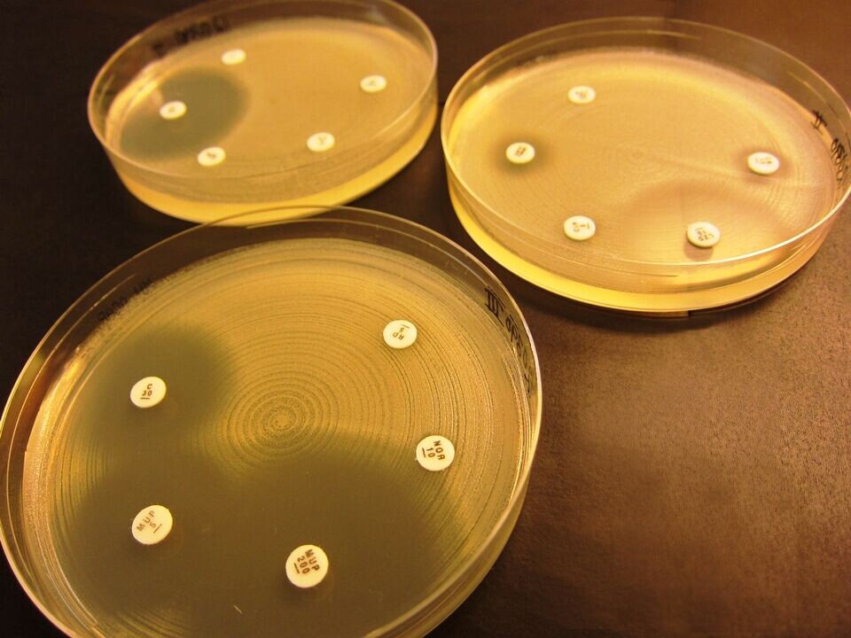 MRSA – et økende helseproblem