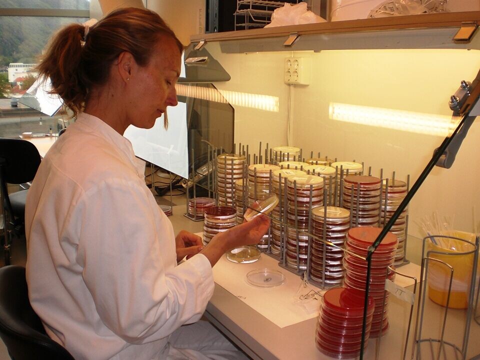 Utbrudd av vankomycinresistente enterokokker på Haukeland universitetssjukehus