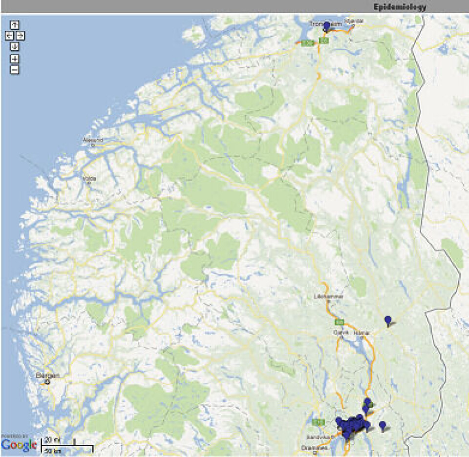 Figur 2. Eksempel på et utbrudd av MRSA med spatypen t304 med geografisk fokus på Oslo og områdene rundt, men med en enkelt spredning til Elverum og en til Trondheim.