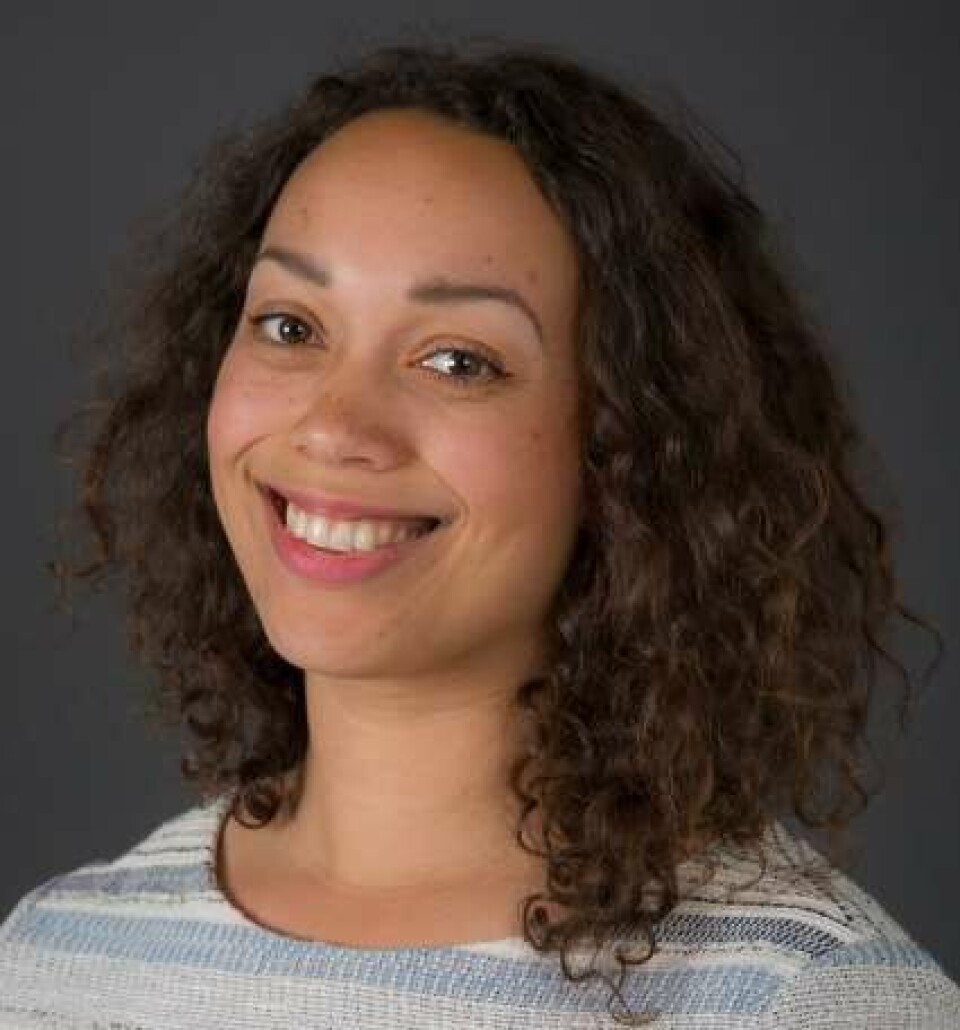 Boka Kvinnejobber, mannsjobber og innvandrerjobber