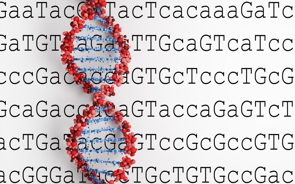 Kunnskapen om genenes oppbygging og funksjon har endret seg betydelig siden bioteknologiloven sist ble revidert. Utviklingen skjer i et tempo ingen kunne forutse for noen tiår siden. Illustrasjonsfoto: iStock