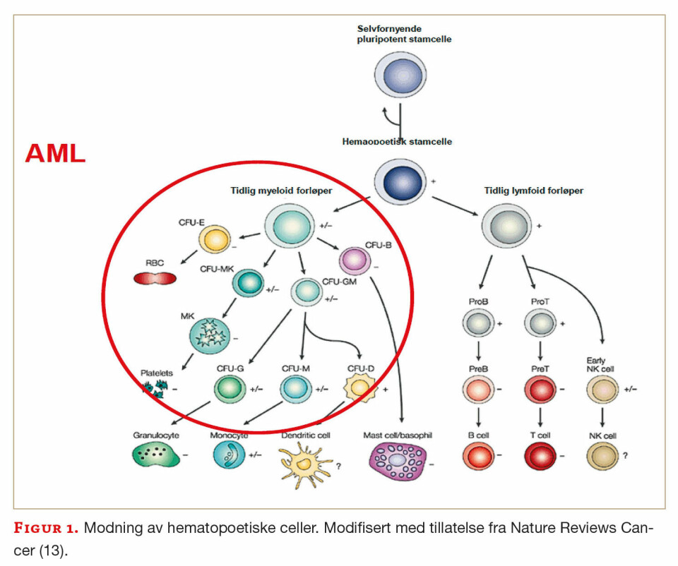 Studenter var involvert i utvikling av nytt molekylærpatologisk laboratoriekurs
