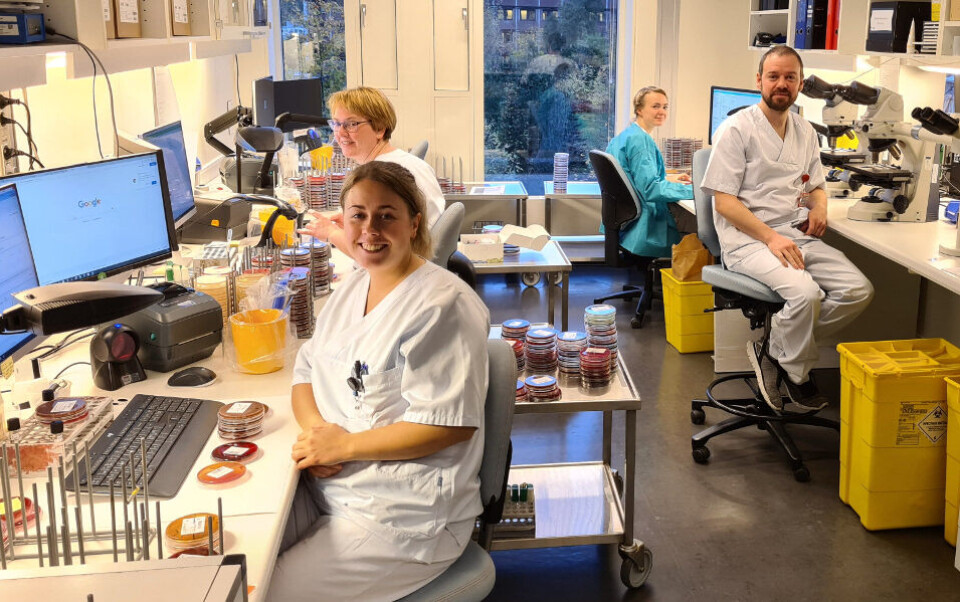 Siri Beate Valle (foran), fagansvarlig bioingeniør, har jobbet i fire år som applikasjonsanalytiker for å bygge det nye laboratoriedatasystemet på St. Olavs hospital. Nå er hun tilbake i bioingeniørjobben på «baktlab» i 75 prosent stilling, mens resten av arbeidstida går til «systembygging» for Epic Beaker. Bak henne (fra venstre) kollegene Turid Charlotte Tørriseng, Anne Marte Tyldum og Alexander Husby Albertsen. Foto Liv Müller
