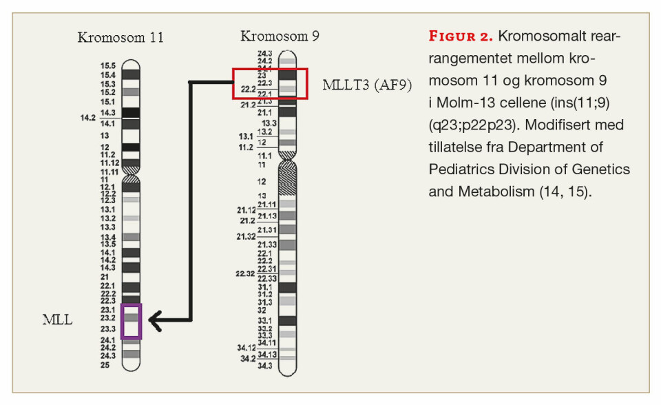 Studenter var involvert i utvikling av nytt molekylærpatologisk laboratoriekurs