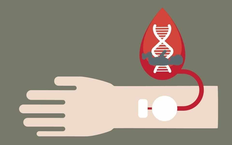 NIPT - analyse av foster-DNA i den gravides blod - er per i dag ikke tillatt brukt til trisomiscreening i Norge. Men flere norske gravide får gjort analysen i utlandet i stedet. Illustrasjon: dbio/Helene Hjorth