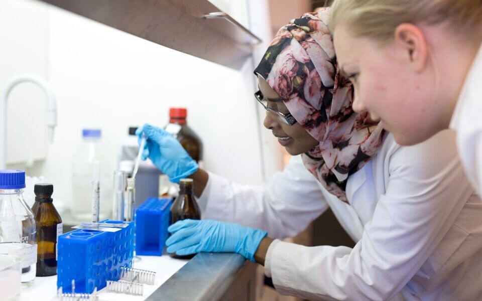 Bioingeniørstudenter trenger lærere som kan formidle både fagkunnskap, yrkesstolthet, tilhørighet og bioingeniørenes historie. Illustrasjonsfoto: Annette Larsen