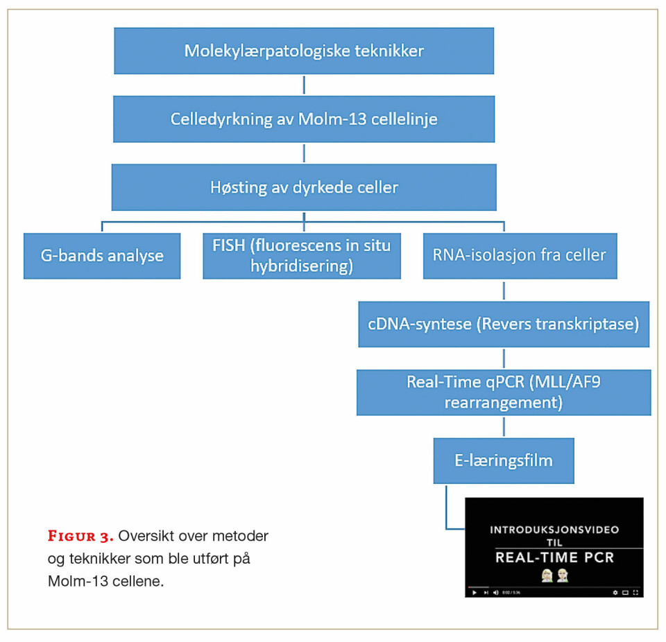 Studenter var involvert i utvikling av nytt molekylærpatologisk laboratoriekurs