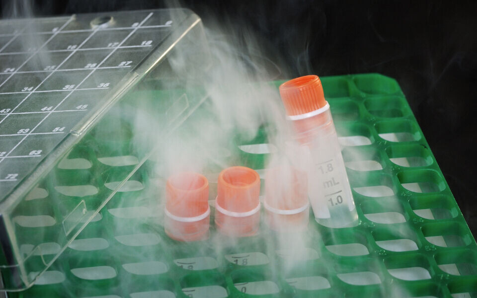 Biobankene er en ressurs for fremtidig forskning og kan ved god utnyttelse bidra til å løse vår tids store sykdomsutfordringer. Foto: iStockphoto