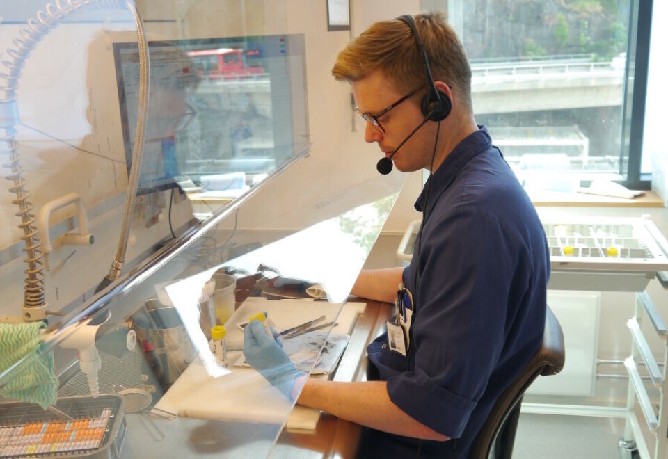 Bioingeniør Trond Are Rokseth makrobeskjærer en biopsi som skal videre til robotsnitting. Foto: Grete Hansen