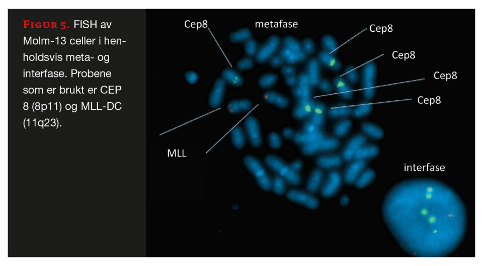 Studenter var involvert i utvikling av nytt molekylærpatologisk laboratoriekurs