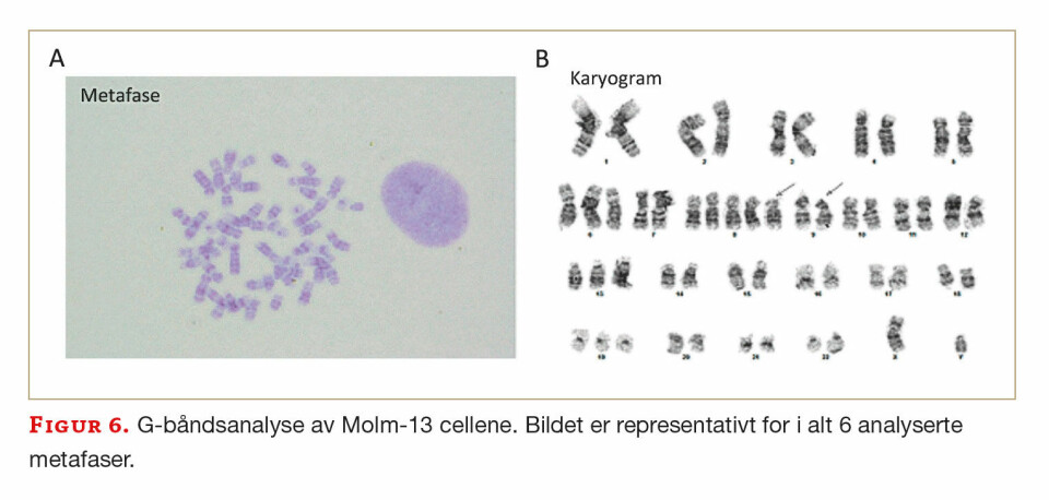 Studenter var involvert i utvikling av nytt molekylærpatologisk laboratoriekurs