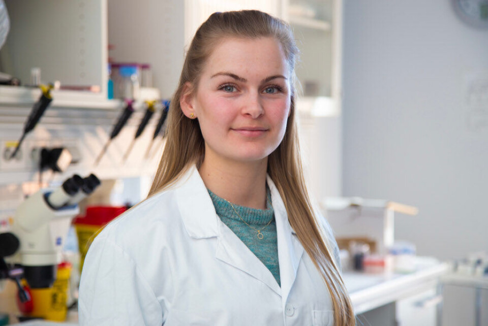 Cecilie Skarstad Noreviks framtidsdrøm er er en postdoktorstilling på CERG med mulighet til å forske på omtrent det samme som hun gjør i dag. Foto: Karl Jørgen Marthinsen/NTNU