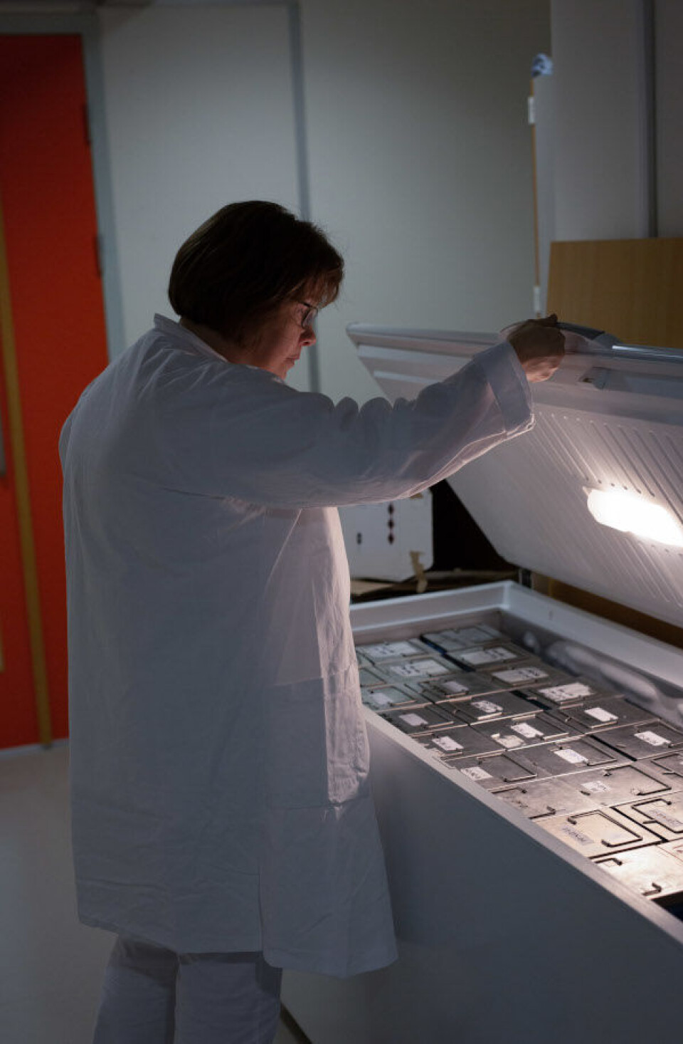 Fryseren fungerer som en liten leukemibiobank. Den er full av små rør med cellesuspensjon og isolert RNA/DNA. Foto: Kristin Risa