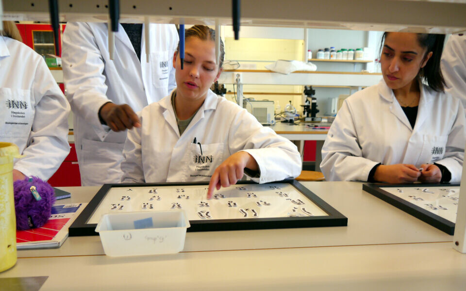 Bioingeniørstudenter, Høgskolen i Innlandet. Foto: Grete Hansen