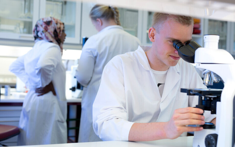Menn er i mindretall på bioingeniørutdanningene. Fra neste år av blir det mulig å gi 'mannspoeng' på kvinnedominerte studier. Illustrasjonsfoto: Annette Larsen