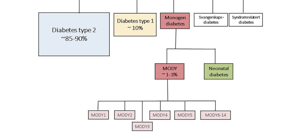 Diabetes mellitus - analyser av genvarianter assosiert med subtyper av Maturity-Onset Diabetes of the Young (MODY)