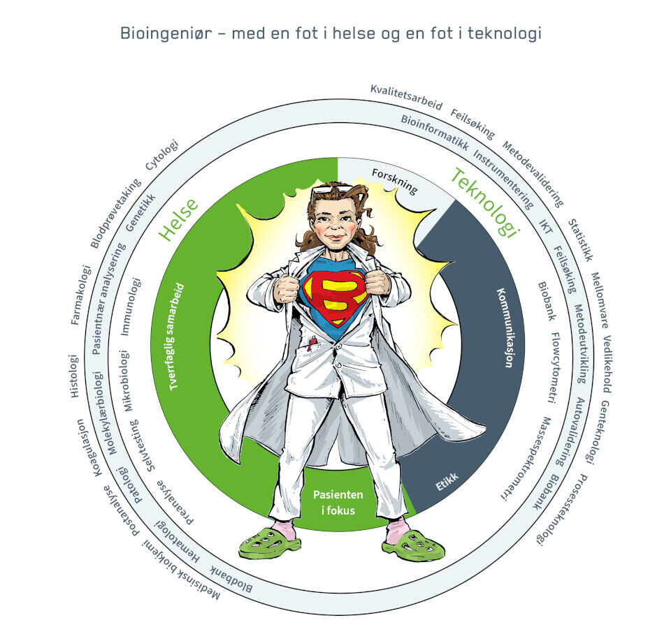 Bioingeniører er mangelvare