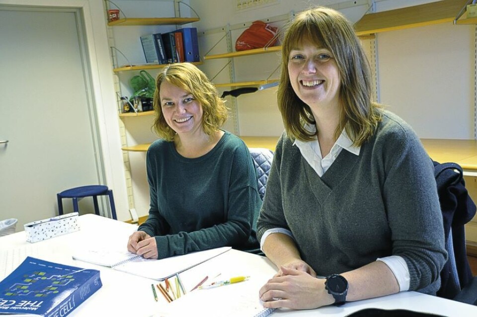 STUDENTER: Bioingeniørene Hanne Lunde (t.v.) og Kaja Marienborg har blitt studenter igjen, mer enn 15 år etter at de var ferdige med bachelorgraden. Nå tar de mastergrad i biomedisin på Oslo Met. Mye har skjedd med faget og undervisningen siden sist de satt på skolebenken, men Lunde og Marienborg mener de fremdeles lærer best ved å bruke gode gamle penn og papir. Foto: Svein A. Liljebakk