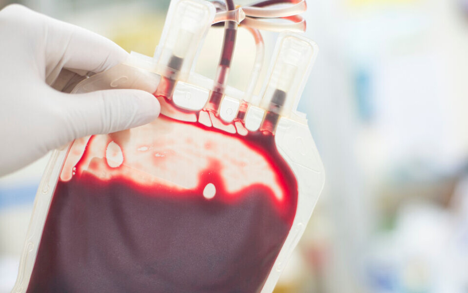 Feiltransfusjoner skyldes gjerne svikt i den siste identitetskontrollen før blodoverføringen. Illustrasjonsfoto: iStockphoto