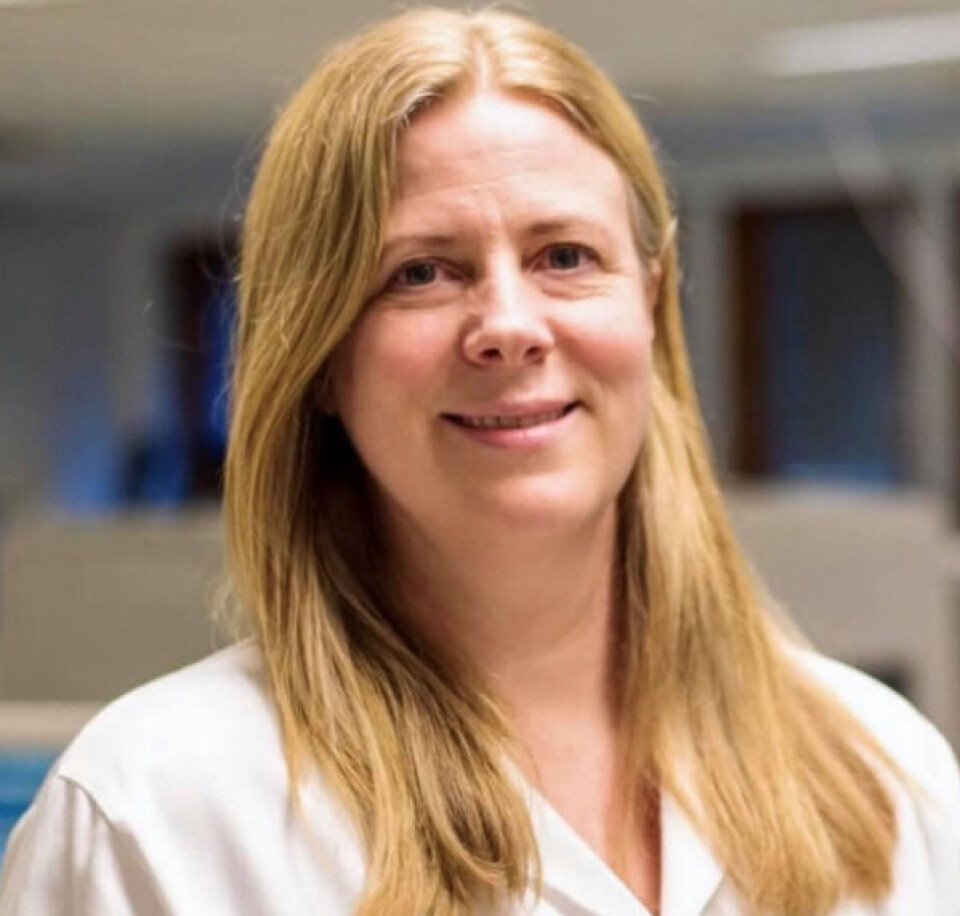 Alle bioingeniører må gjøre sitt beste for å skaffe seg mer teknologisk kompetanse, mener Trude Steinsvik.