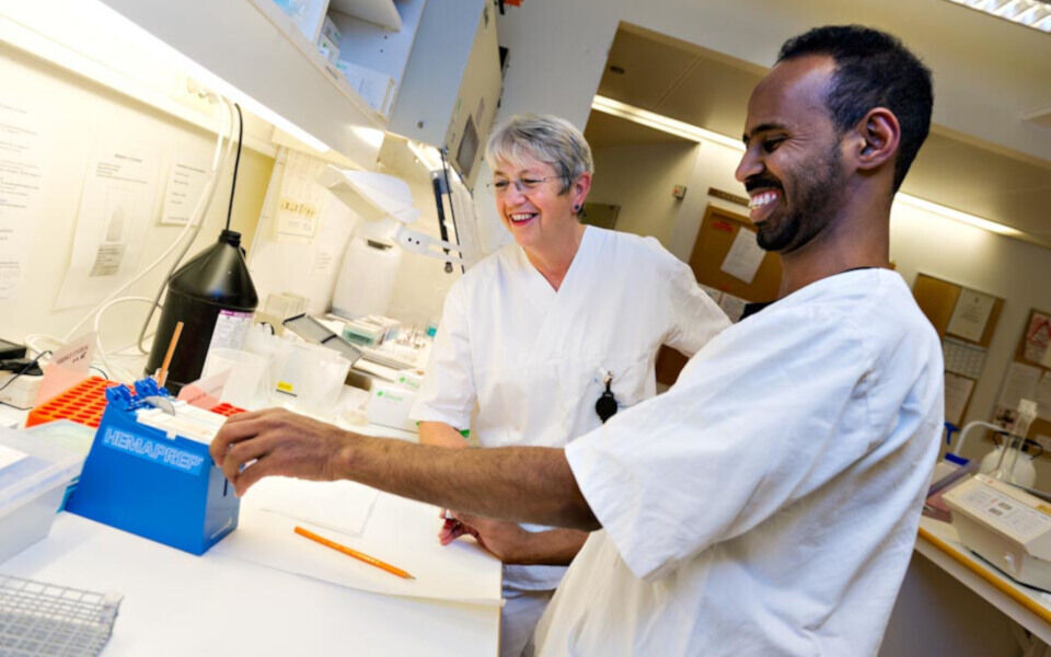 Praksis er svært viktig for bioingeniører. Illustrasjonsfoto: Tomas Moss